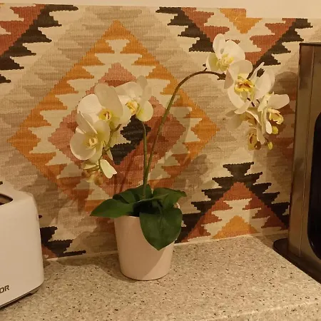 In Zentrum Zwischen Hauptplatz Und Stadtpark Apartamento *