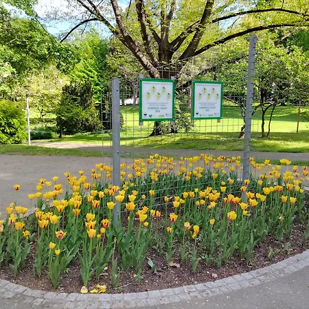 Appartement In Zentrum Zwischen Hauptplatz Und Stadtpark Leoben (Styria)