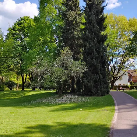 In Zentrum Zwischen Hauptplatz Und Stadtpark * Leoben (Styria)