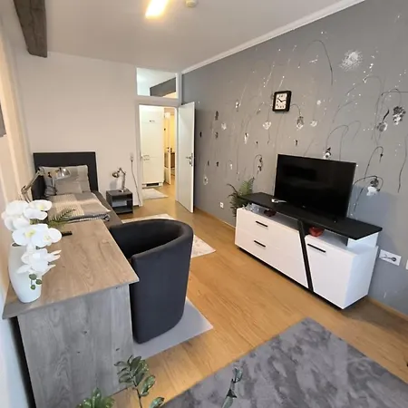 In Zentrum Zwischen Hauptplatz Und Stadtpark Leoben (Styria)