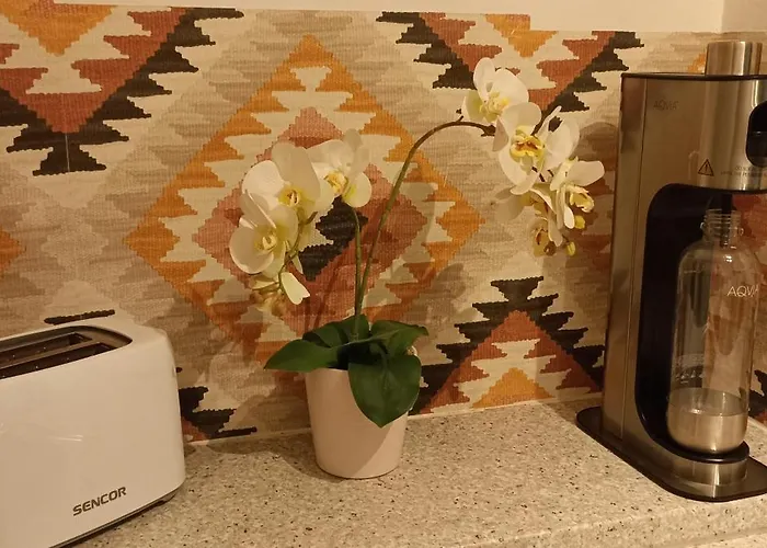 In Zentrum Zwischen Hauptplatz Und Stadtpark Apartman *