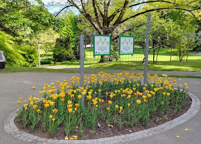 Appartement In Zentrum Zwischen Hauptplatz Und Stadtpark Leoben (Styria)