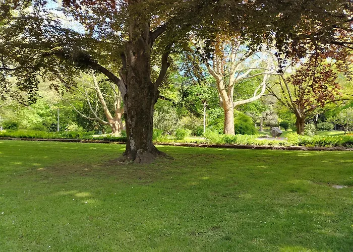 In Zentrum Zwischen Hauptplatz Und Stadtpark *