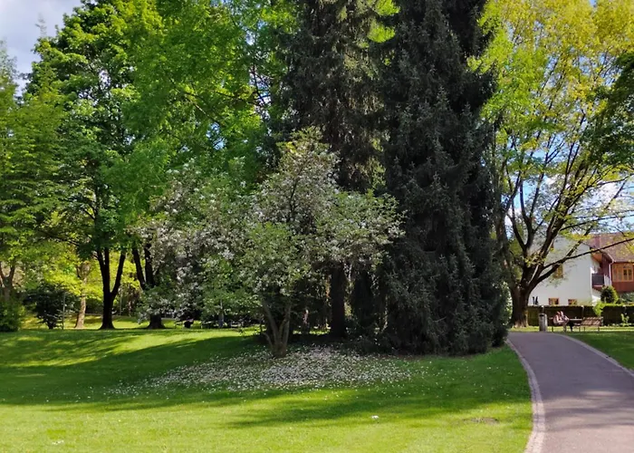 In Zentrum Zwischen Hauptplatz Und Stadtpark * Leoben (Styria)